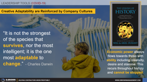 Creative Adaptability as a Company Culture and Capability Thumbnail